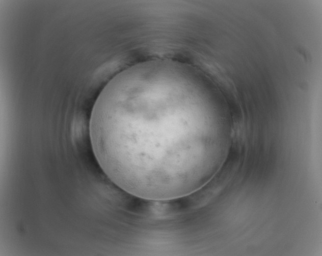 X0000114060623200910191502