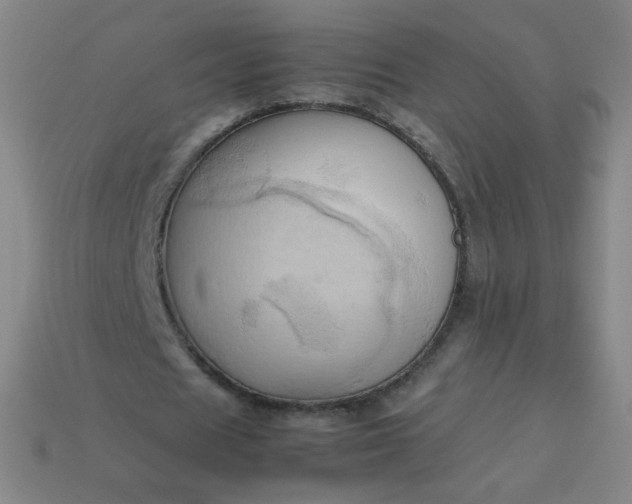 X0000114060625200910191501