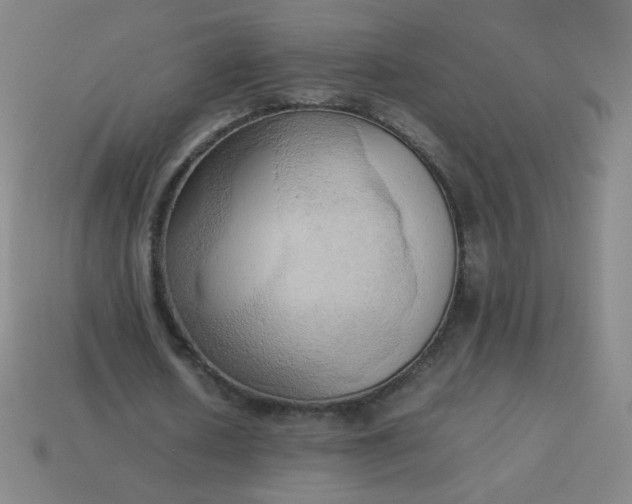 X0000114060626200910191501