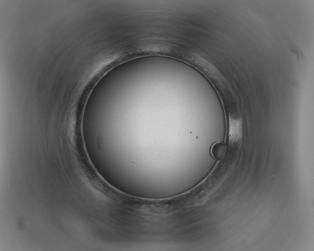 X0000114060627200910191501