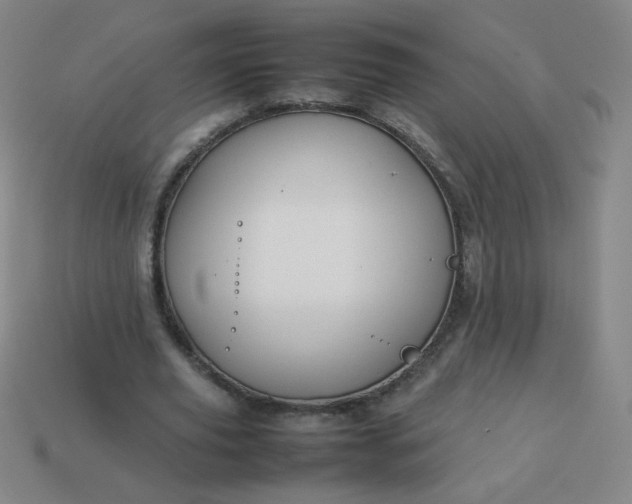 X0000114060629200910191502