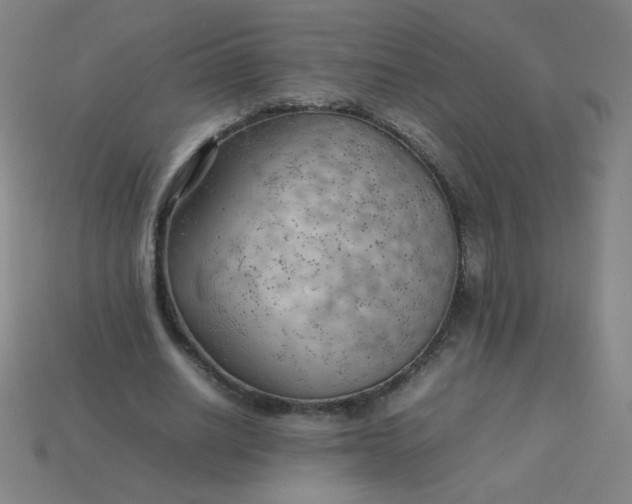 X0000114060630200910191502