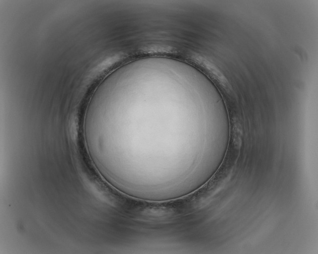 X0000114060631200910191502