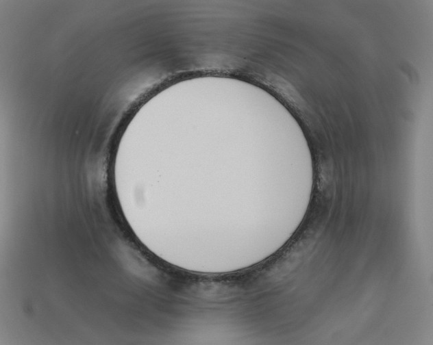 X0000114060632200910191502