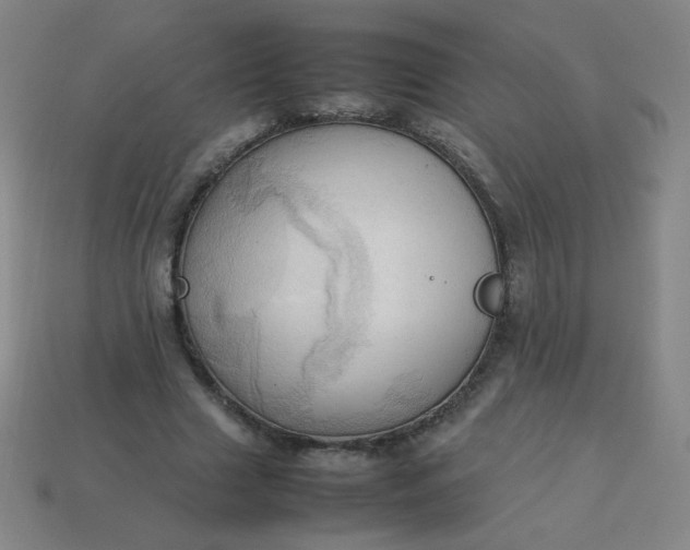 X0000114060633200910191502