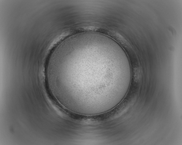 X0000114060634200910191502