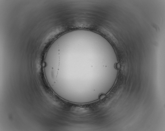 X0000114060635200910191502