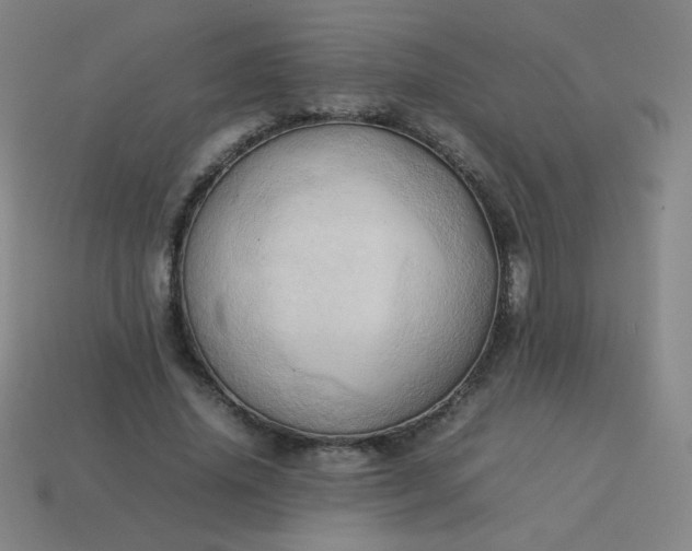 X0000114060636200910191502