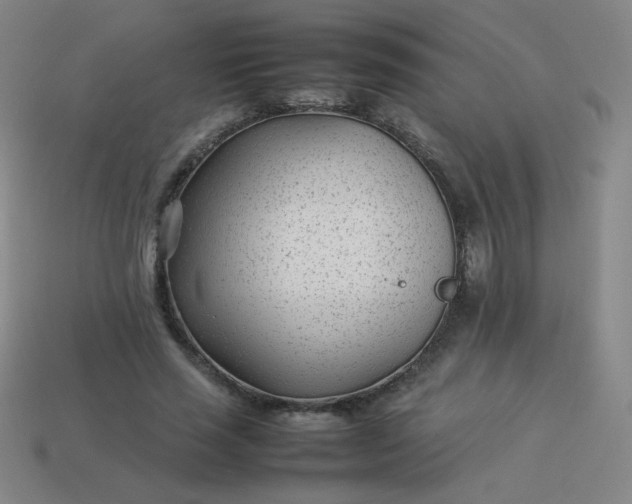 X0000114060637200910191502