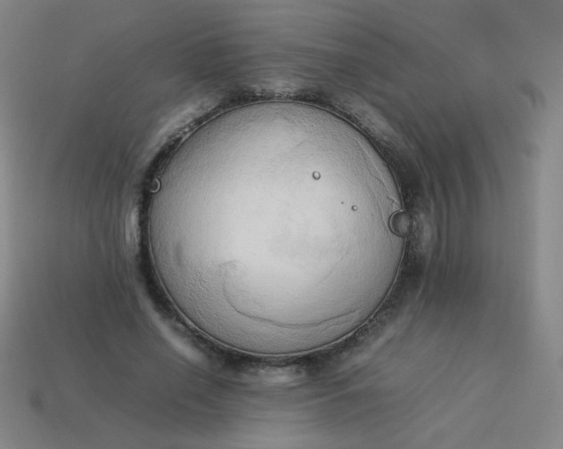 X0000114060638200910191502