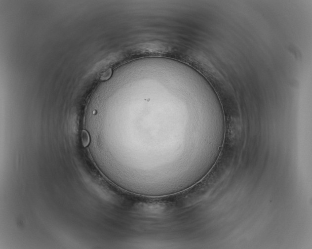 X0000114060639200910191502