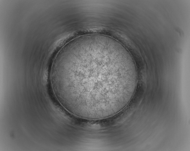 X0000114060640200910191502