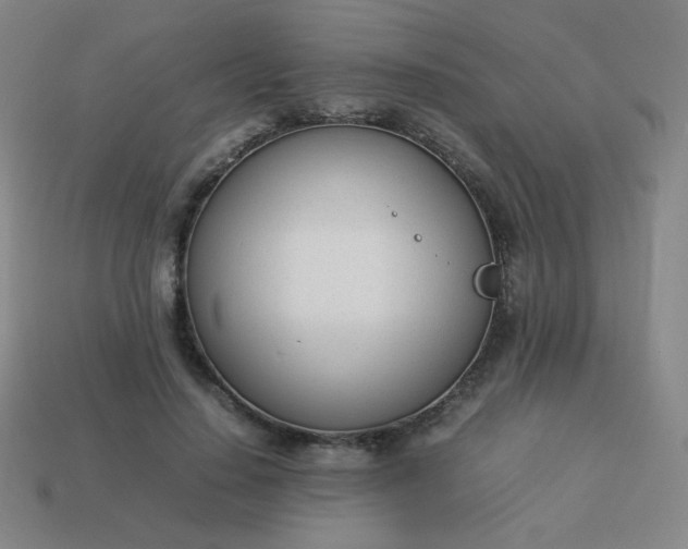 X0000114060644200910191502