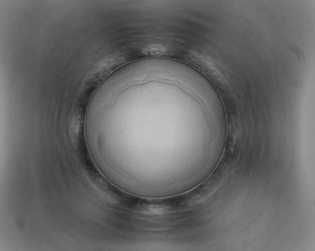 X0000114060645200910191502