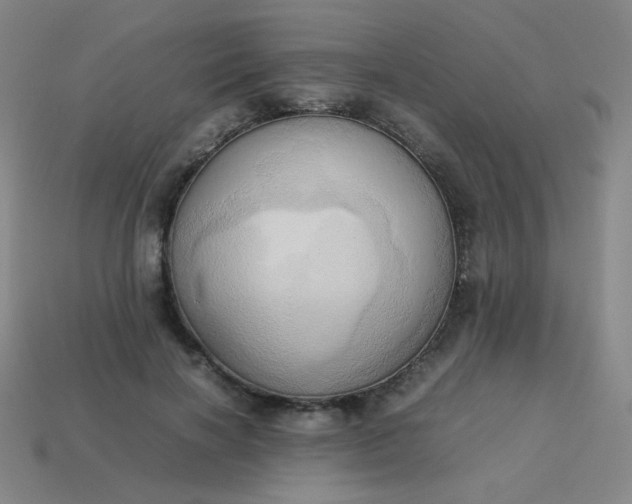 X0000114060646200910191502