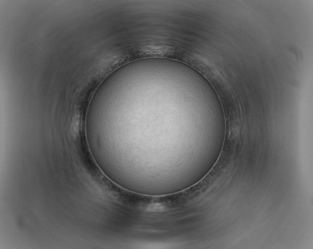 X0000114060647200910191502