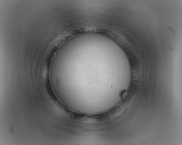 X0000114060648200910191502