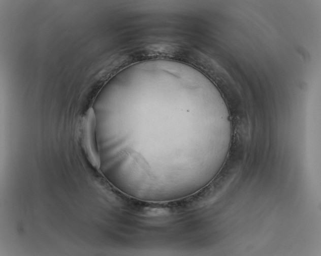 X0000114060649200910191502