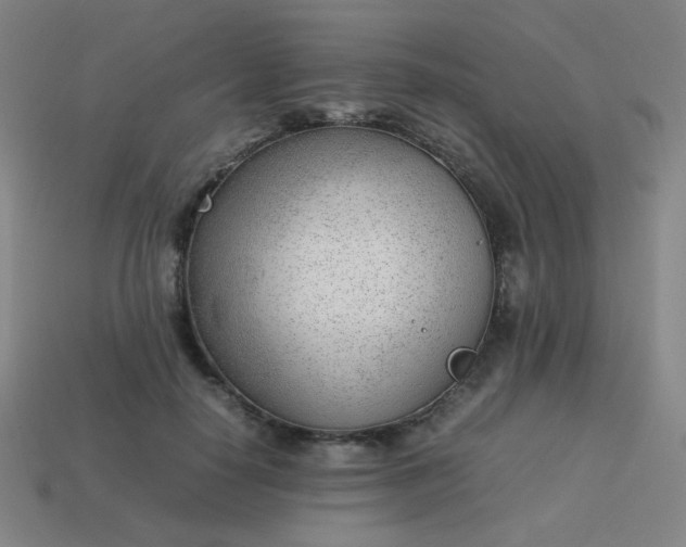 X0000114060650200910191502