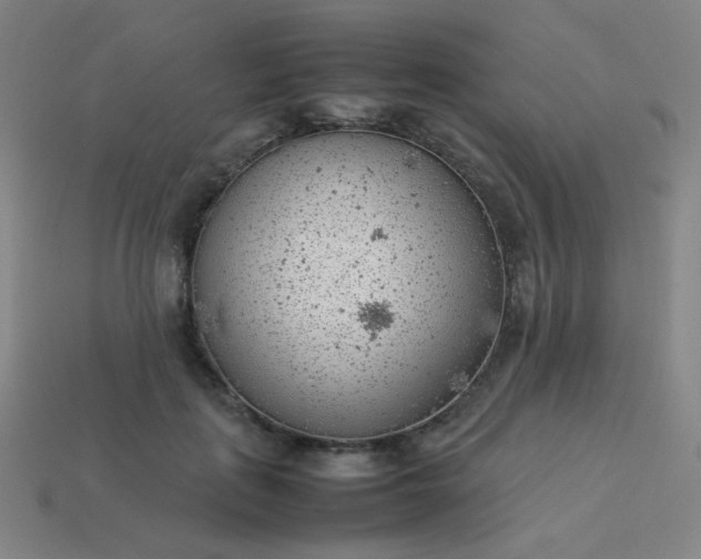 X0000114060651200910191502