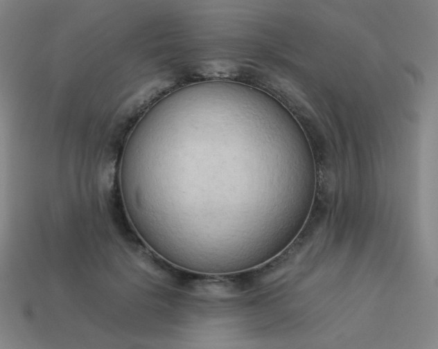 X0000114060652200910191502