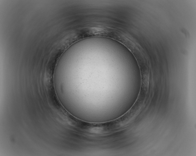 X0000114060653200910191502