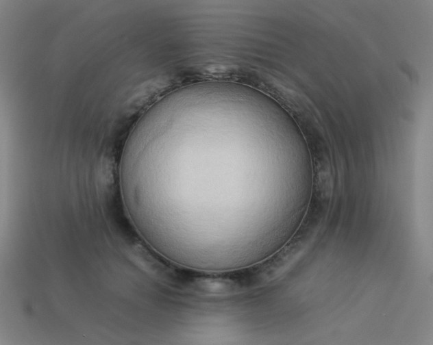 X0000114060654200910191502