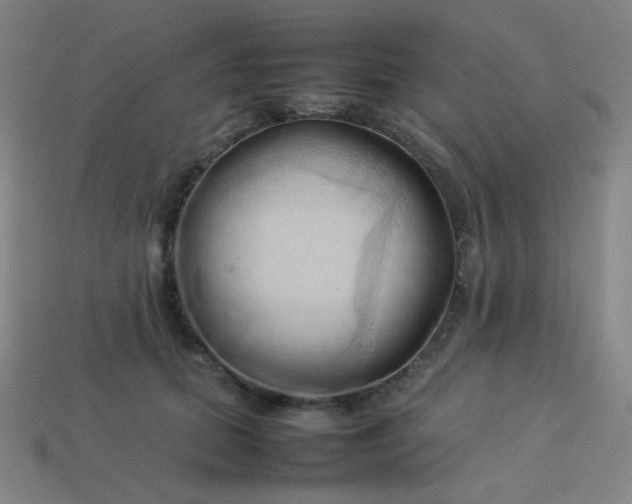 X0000114060655200910191502