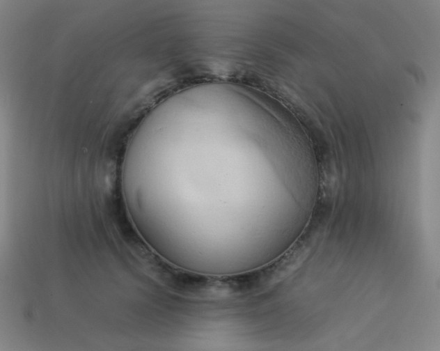 X0000114060656200910191502