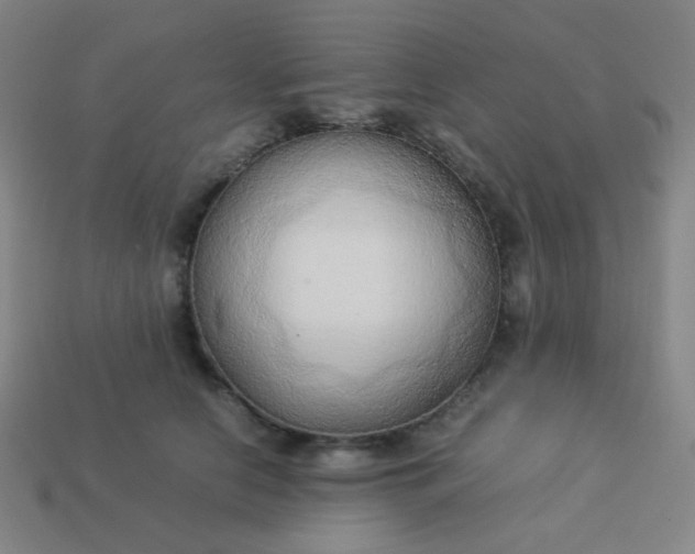 X0000114060658200910191502