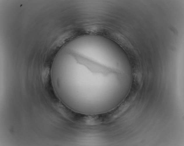 X0000114060660200910191502