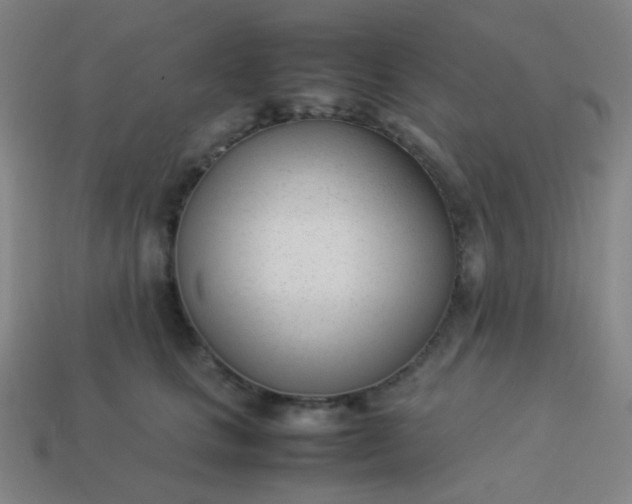 X0000114060661200910191502