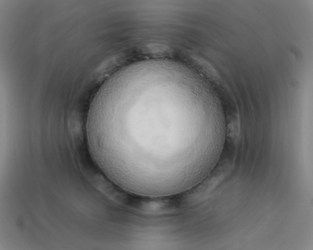 X0000114060662200910191502