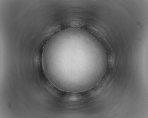 X0000114060663200910191502