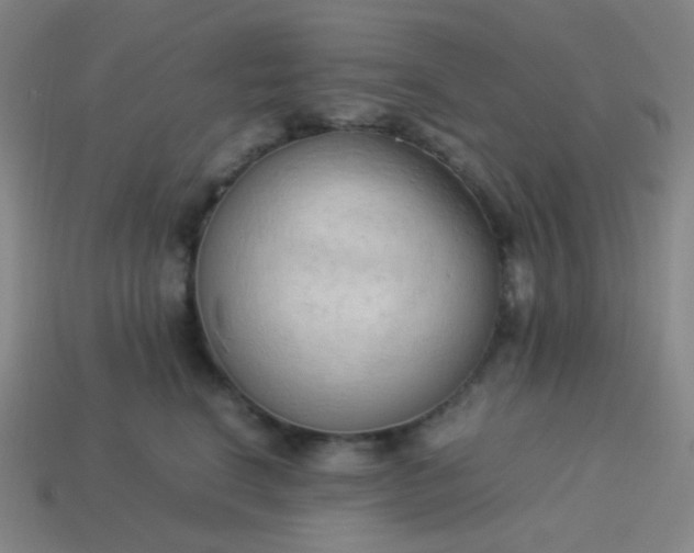 X0000114060664200910191502