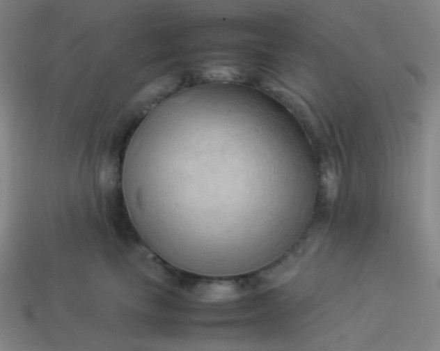 X0000114060665200910191502