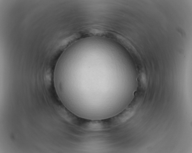 X0000114060668200910191502