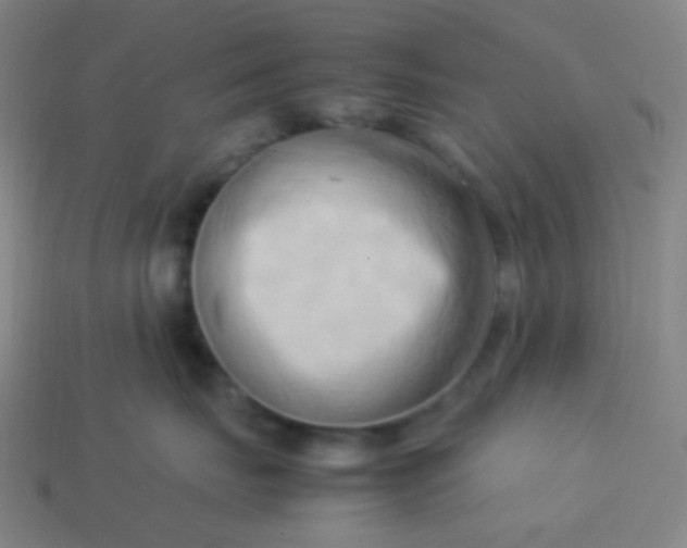 X0000114060671200910191502