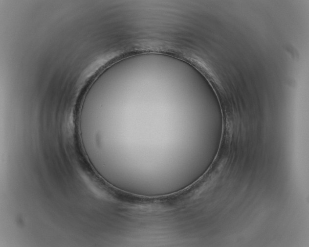 X0000114060674200910191501