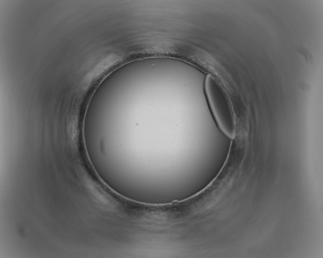 X0000114060677200910191501