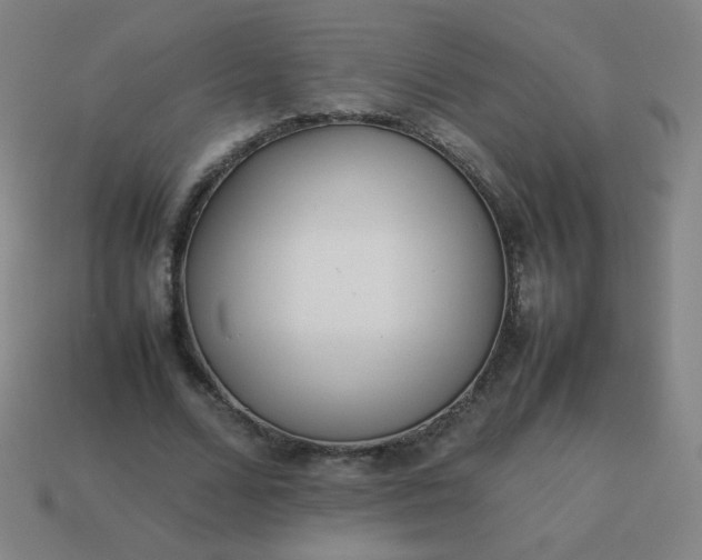 X0000114060680200910191501