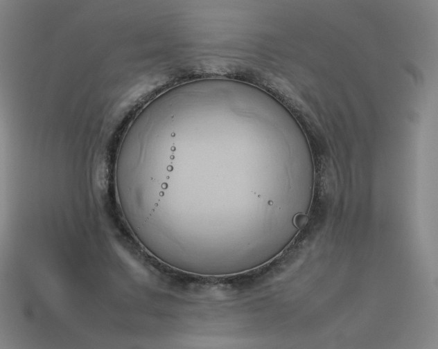 X0000114060683200910191501