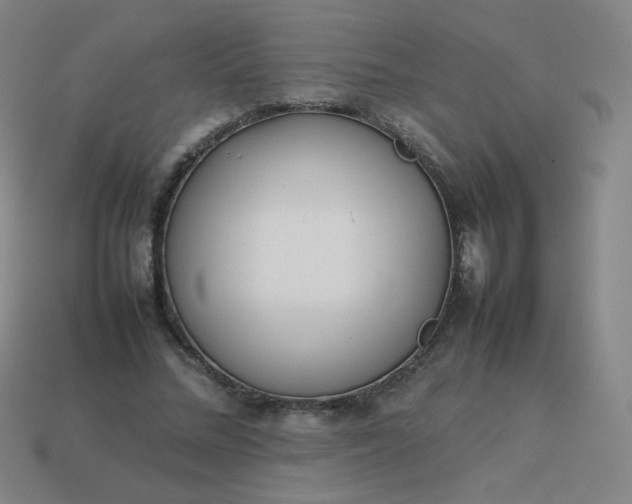 X0000114060684200910191501