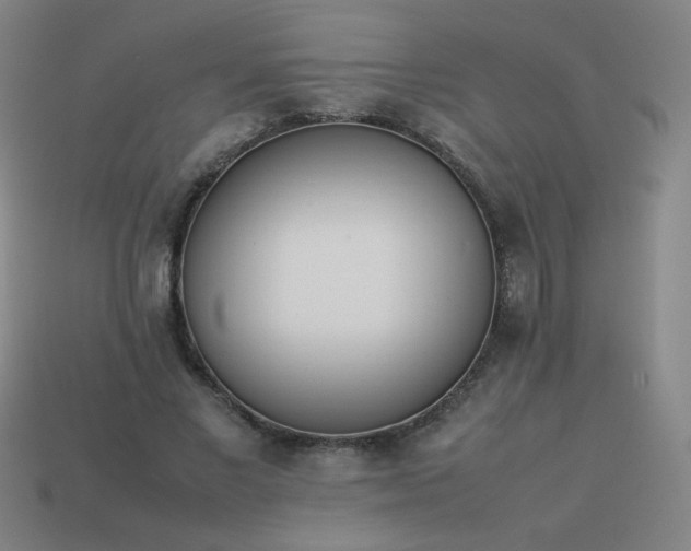 X0000114060685200910191501