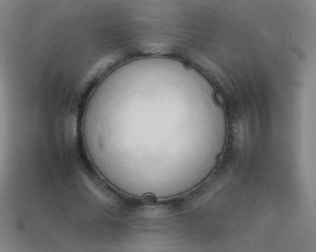 X0000114060686200910191501