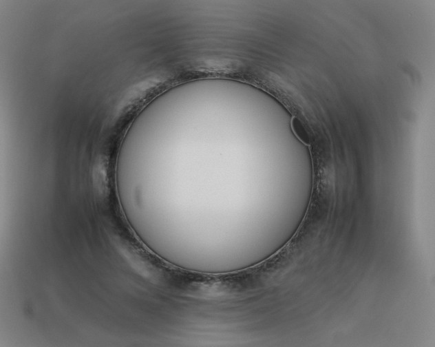 X0000114060688200910191501