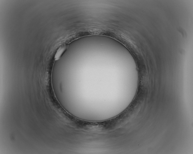 X0000114060689200910191501