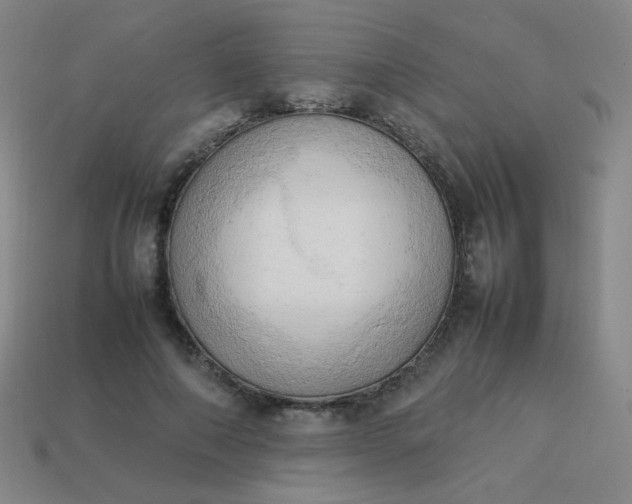 X0000114060690200910191501