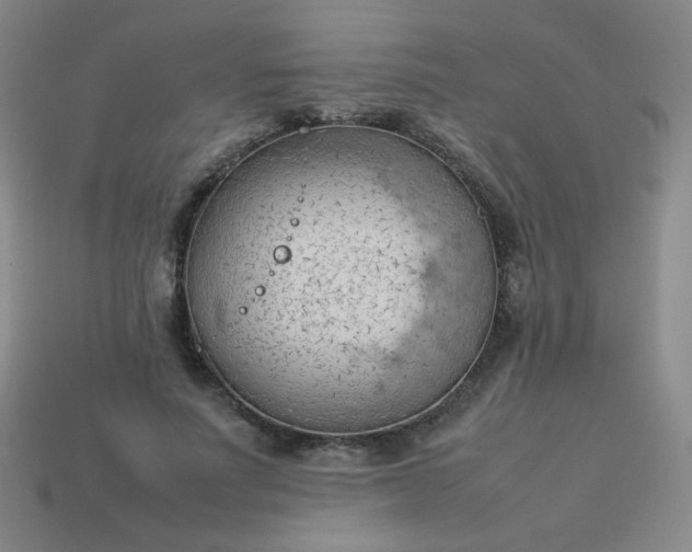 X0000114060691200910191501