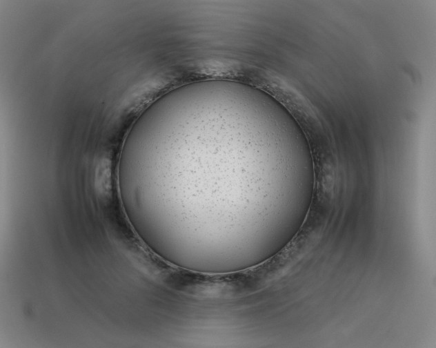 X0000114060696200910191501